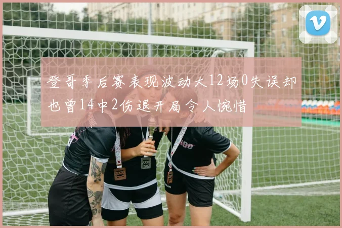 登哥季后赛表现波动大12场0失误却也曾14中2伤退开局令人惋惜